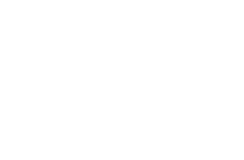 Automotive icon in white
