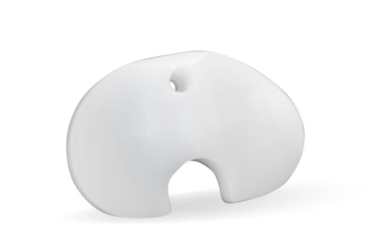 Bearing Insert