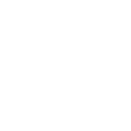 Automotive Icon White